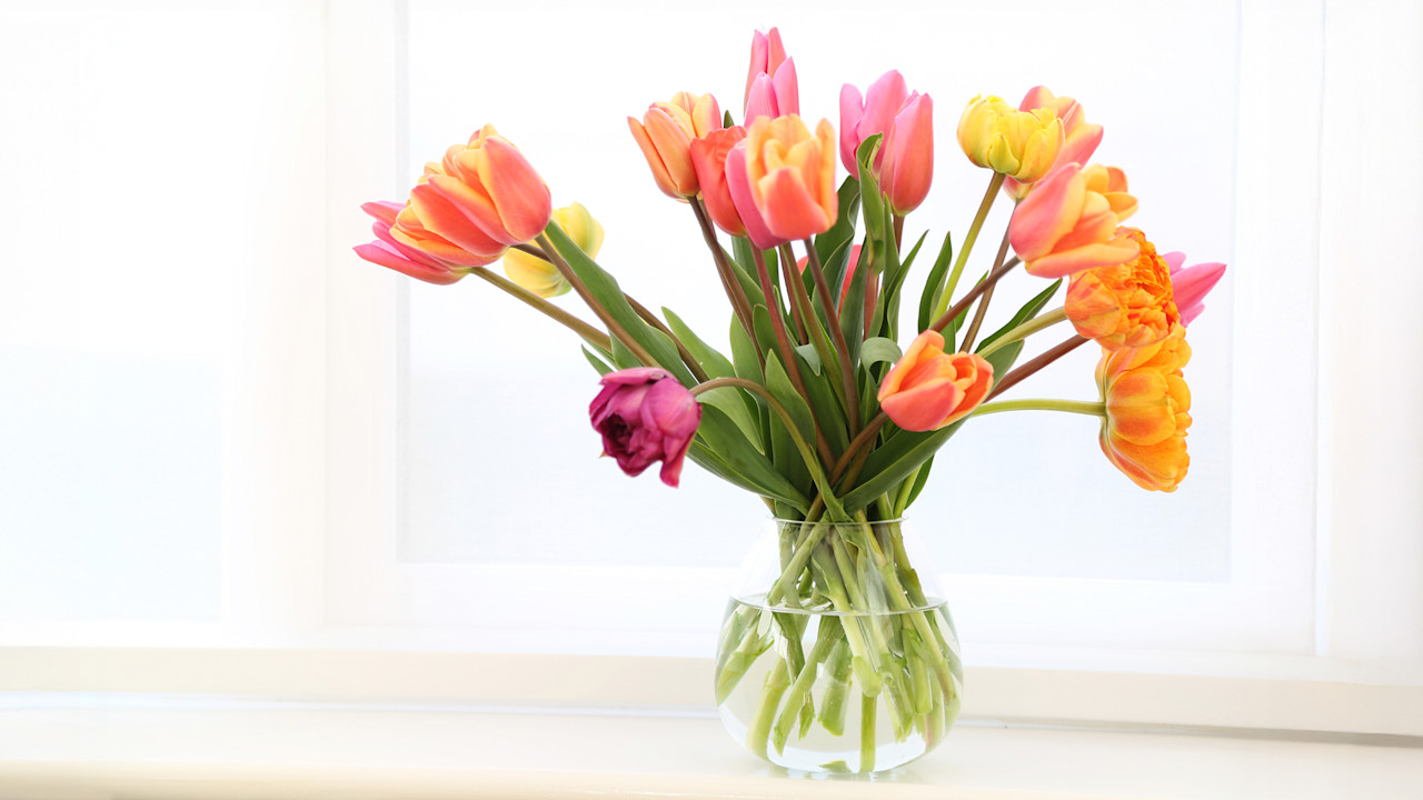 Flowers Hero